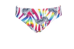 Maillot De Bain Arena Homme Crazy Zebras Brief Multicolor -Équipement De Natation 002908 850 m crazy zebras brief 005 f s